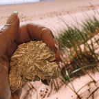 Desert Rose