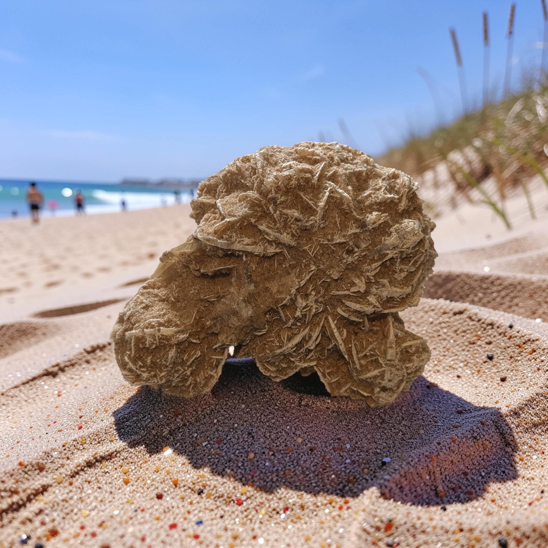 Desert Rose