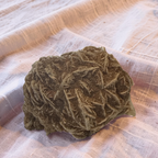 Desert Rose
