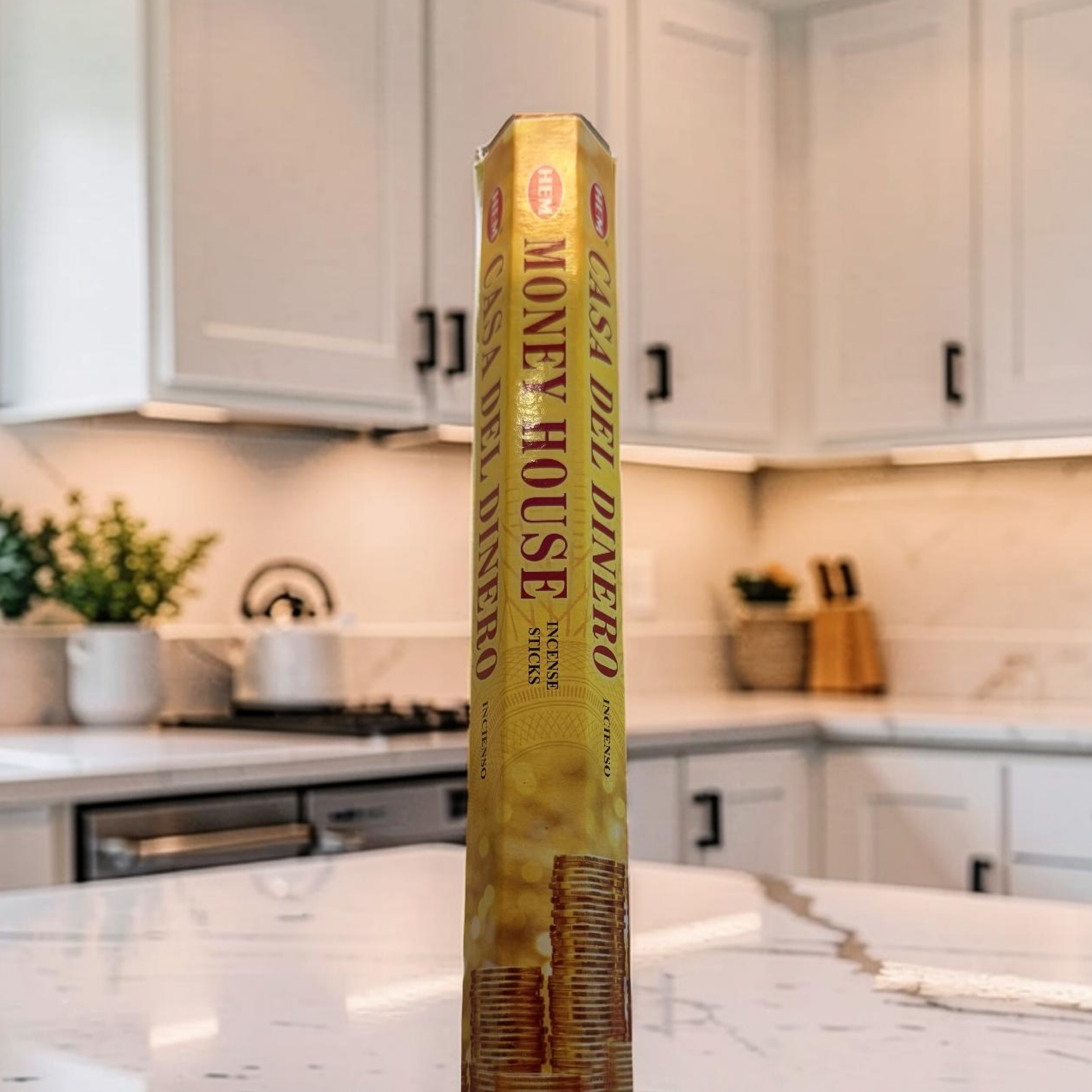 Money House Incense Sticks by HEM