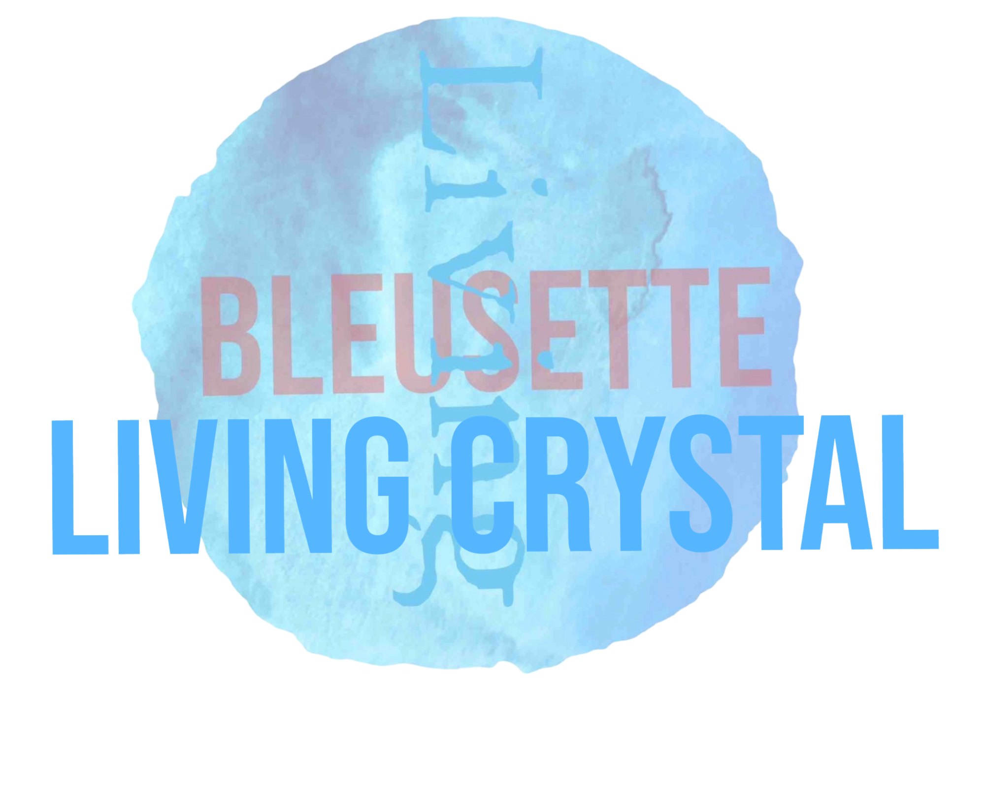 BleusetteLiving Crystal Shop