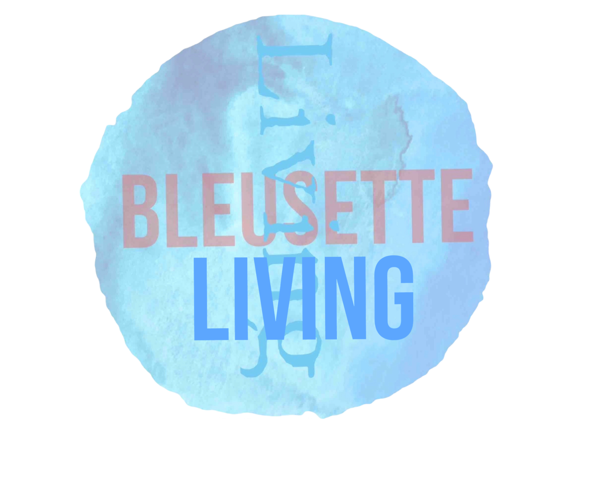 BleusetteLiving Crystal Shop