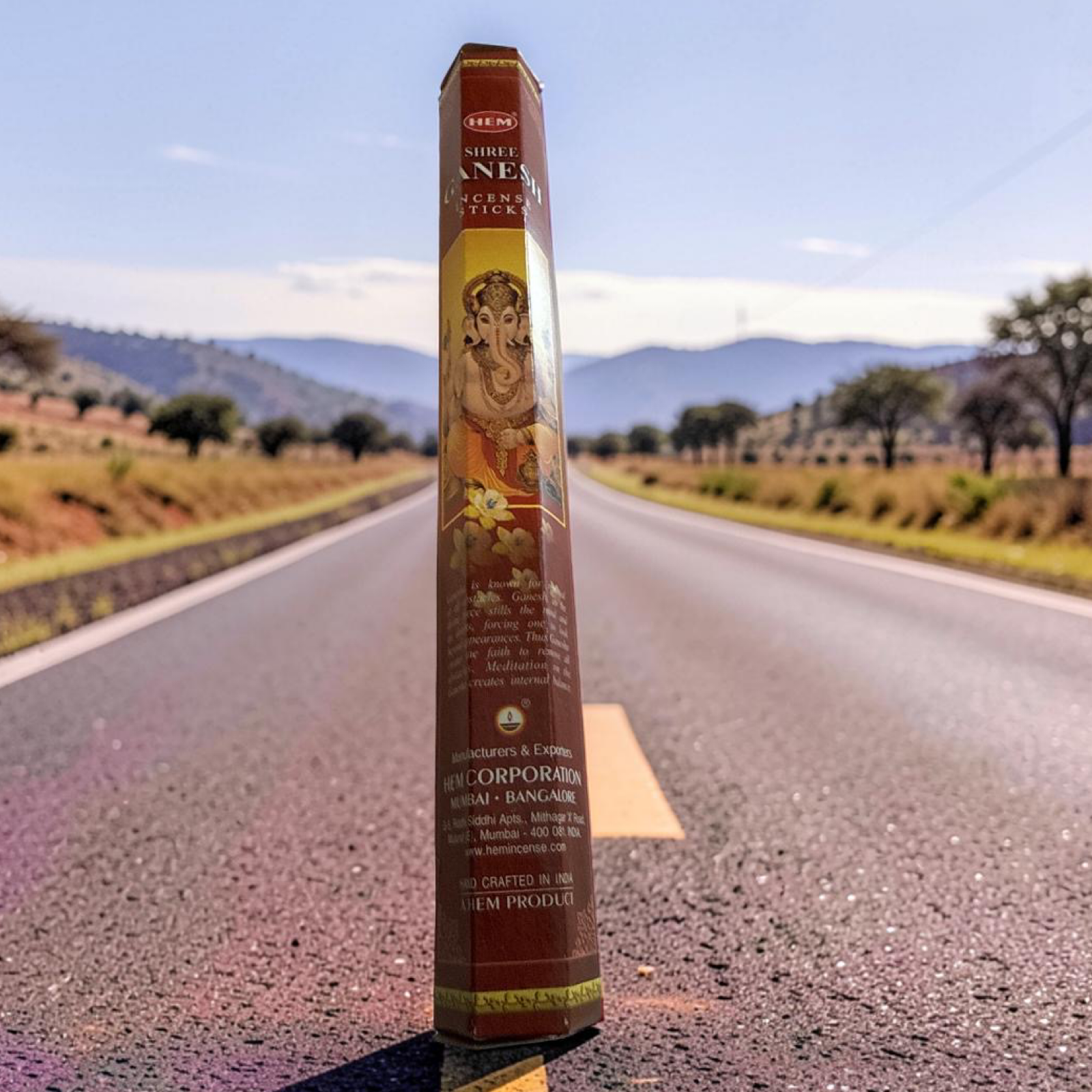 Shree Ganesh Incense Sticks by HEM